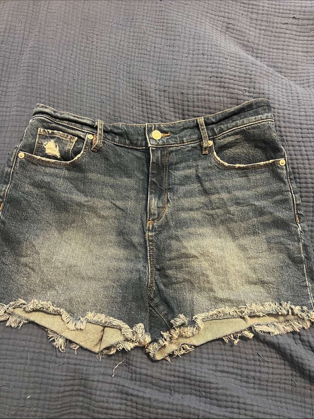 LOFT Frayed Hem Blue Denim Jean Shorts